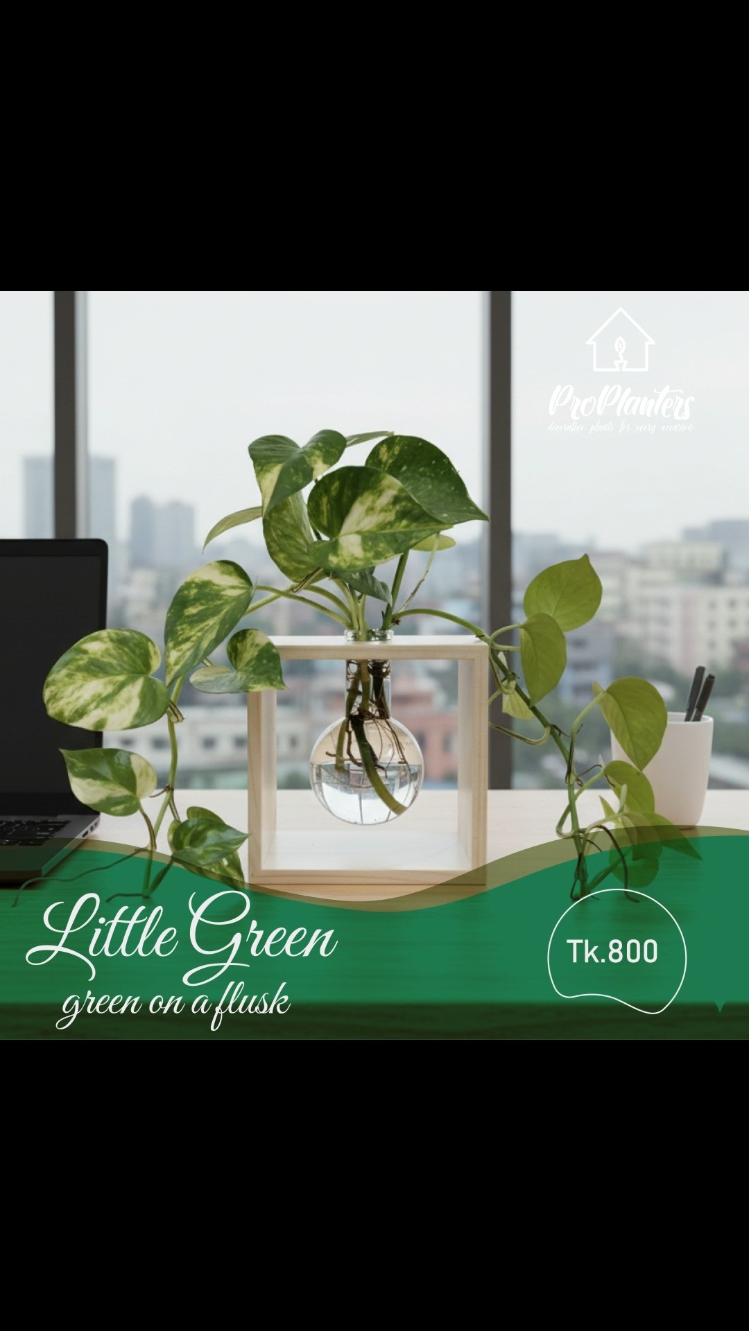 Elegently designed, perfect for gift.